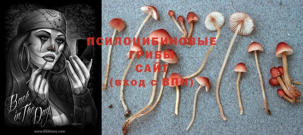 ешки Бугульма