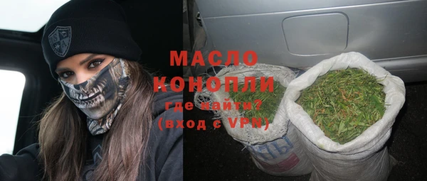 молекула духа Верхний Тагил