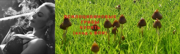 ешки Бугульма