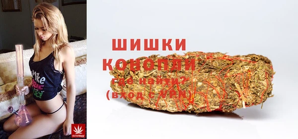 молекула духа Верхний Тагил