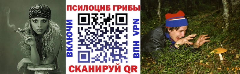 ссылка на мегу маркетплейс  Дюртюли  Галлюциногенные грибы прущие грибы 